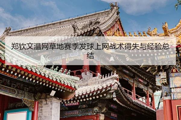 zheng-qin-wen-wen-wang-cao-di-sai-ji-fa-qiu-shang-wang-zhan-shu-de-shi-yu-jing-yan-zong-jie-3-225.jpg