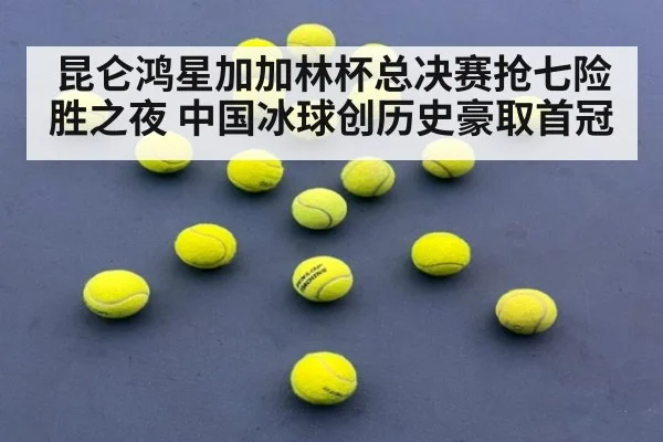 昆仑鸿星加加林杯总决赛抢七险胜之夜 中国冰球创历史豪取首冠